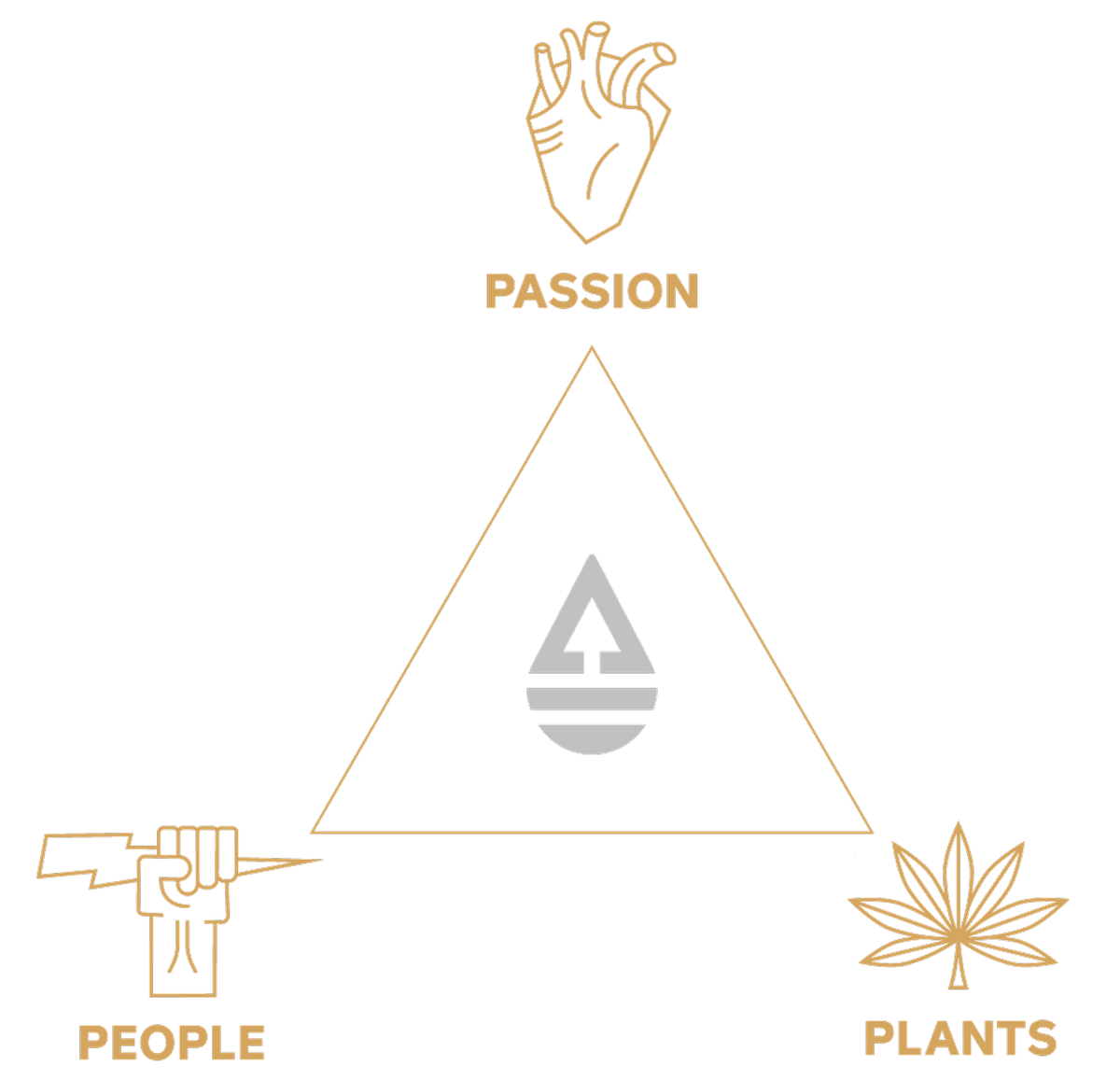 People, plants, and passion. The Fresh Coast manifesto